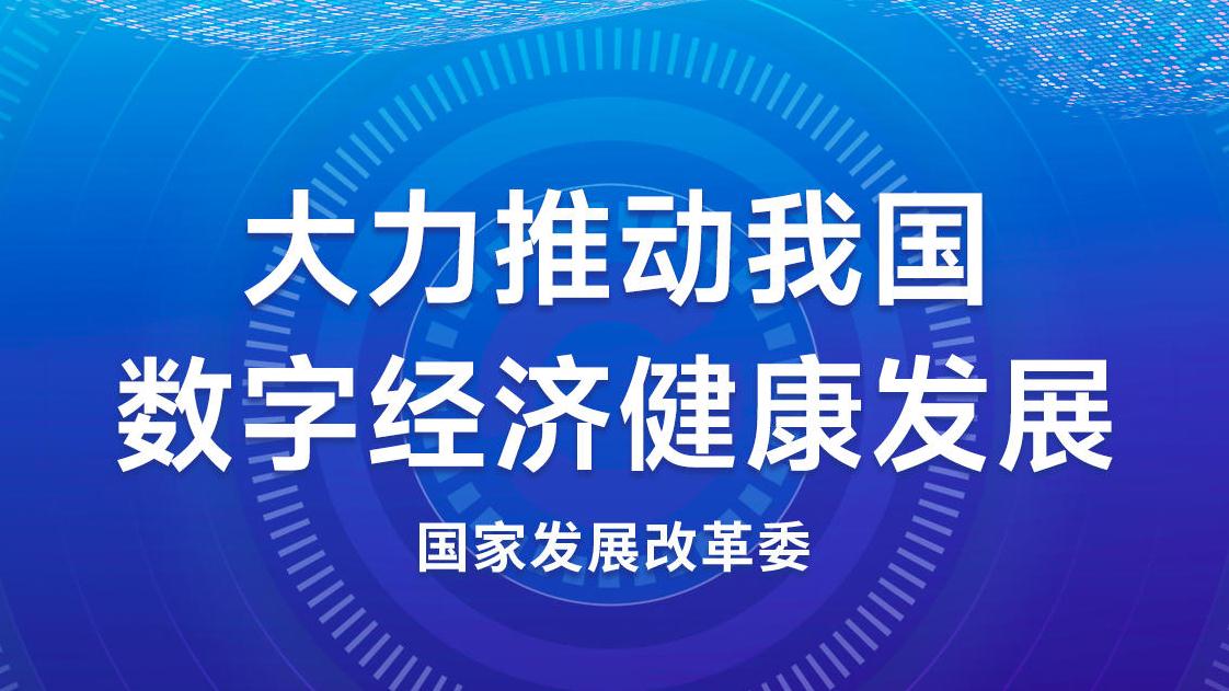 大力推动我国数字经济健康发展